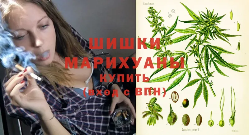 Марихуана сатива  omg маркетплейс  Лабытнанги 